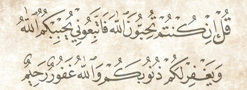 يحبهم ويحبونه